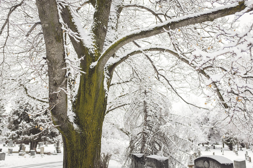 Snowy Mount Olivet Cemetery in Salt Lake City