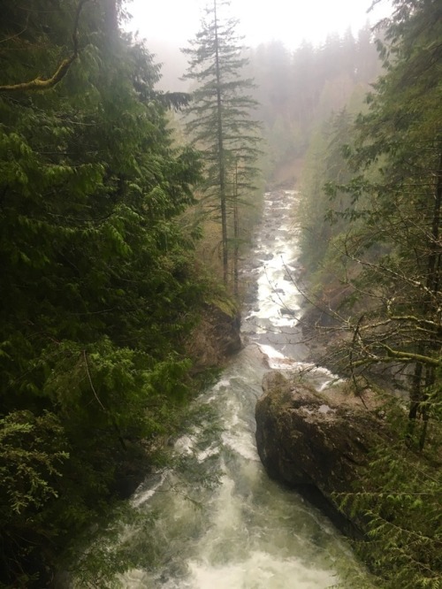 burningmine:Twin Falls State Park, April 2018It was so rainy that I couldn’t take my camera out all 