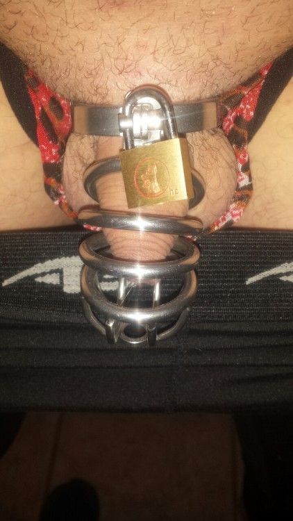 teamlocked:  My new cage to big dartstring
