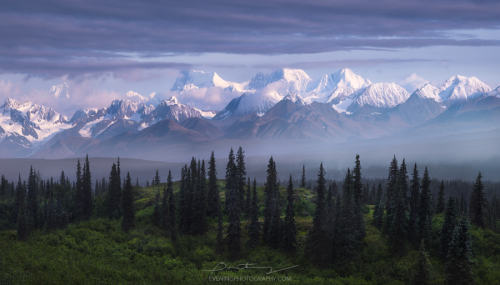 drxgonfly:Distant & A Pine Tree Hill (by Greg Boratyn)Photographer’s Website | Instagram | 500px