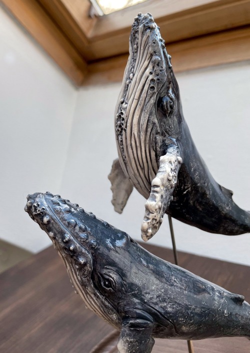 sosuperawesome:  Ceramic WhalesAlexa Verg
