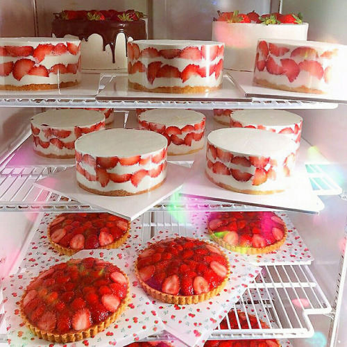 petitcho:www.instagram.com/p/BhN01y0lV0s/