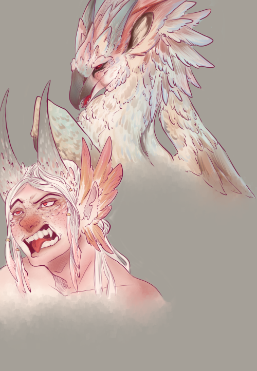 Some Dragonshifters Based On Birds- Big Guy (Gale) Is Based On A Leucistic Falcon. The Other Two Are