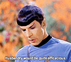 lacefuneral:spacewizardtrek:  thesadchicken:  slightly-oblivvyous:   #this is one of those scenes wh