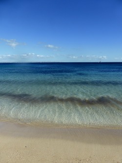 Molieresphotography:  Palma Nova,Mallorca, Spain. Copyrights Val Moliere March 2014