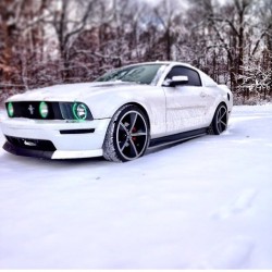 musclefords:  @igfords #ford#Mustang#SVT tag-&gt; #american_muscle_mustangs that time of year again, @ryanpendy_ making the best out of it with this sic shot.