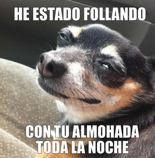 Joodeer...