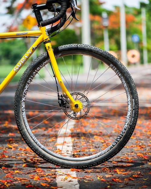 surlystragglerarchive: Custom yellow Surly Straggler with Circus Monkey “D202418” 29" rims via 