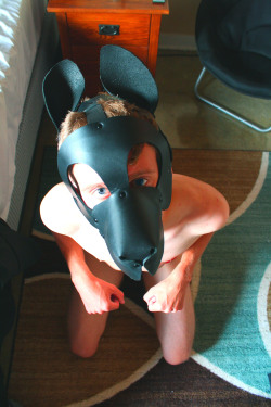 the-pup-hoodie:  Curious about the camera.