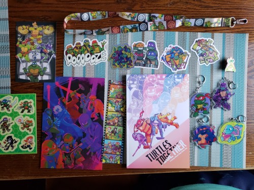 My Shipment From @turtlestogetherzine Arrived Today!! Everything Looks Amazing! Thank You To All The