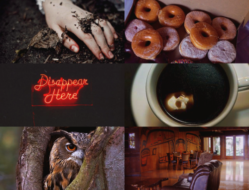 peremadeleine: aesthetics | Twin Peaks “It’s five miles south of the Canadian border, tw