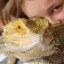coverteyeshasadragon