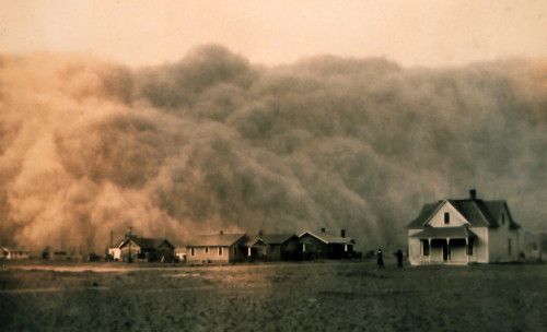 plantyhamchuk:Soil Erosion by Wind“Wind also causes much soil erosion. When the wind blows across a 