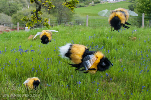 sanageyamaa: babytarantula: magweno: GIANT PET BEES NOW AVAILABLE!www.etsy.com/uk/listing/23