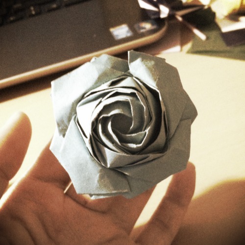 paperphiliac:  Carambola Flower designed by Carmen Sprung Only One Rose No. 11 designed by Masahiro Ichikawa Mandragora Flower designed by Ekaterina Lukasheva I’m gathering the pieces for a kusudama right now so in the meantime here are some pretty