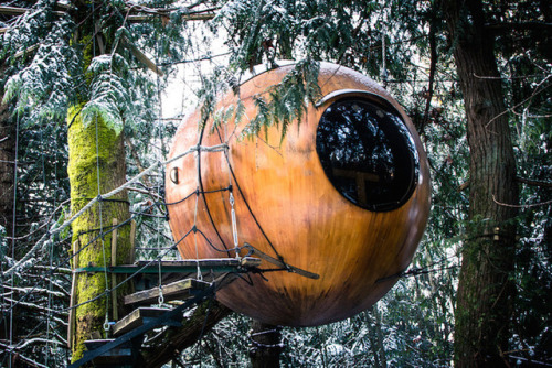 thedesigndome:Hotels Shaped as TreehouseWe have all wanted a treehouse in our childhood days, our ow