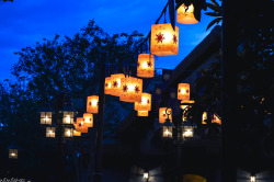 disneyworldsisters:  Tangled Restrooms on a cloudy evening (source: me) 