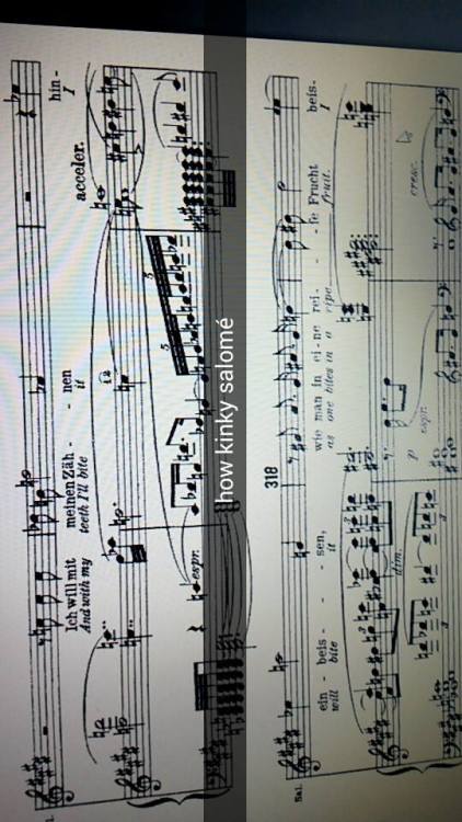 you-had-me-at-e-flat-major:i had a bit of a snapchat spree while listening to salomé