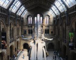 interior-design-home:Hintze Hall at the Natural