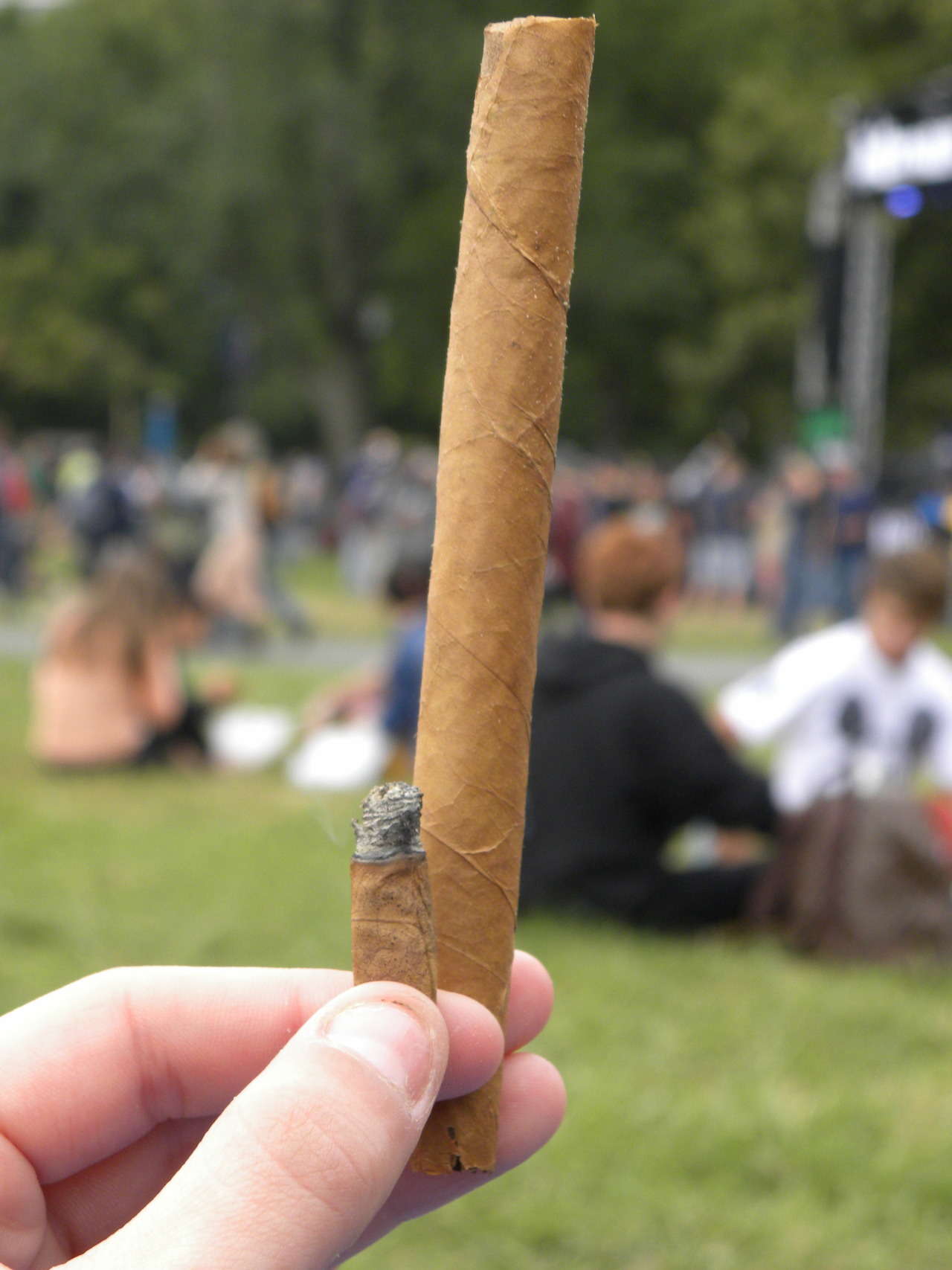 the-stoner-sage:  The incrediblunt!