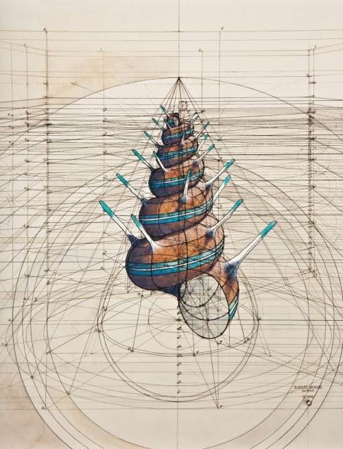 ‘Calculation’ Illustrations by Rafael Araujo.