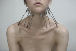 oxidi:  yung cheng lin