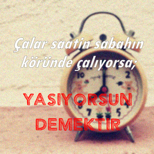 kalinuclusarjaleti:  teniesmeruhusariisin:  golcununoglu:  Şu ana kadar gördüğüm en anlamlı, en hayat dolu gönderi.  Yaşama sebebi yaratıyor resmen. Süperli post  Çok iyi ya 