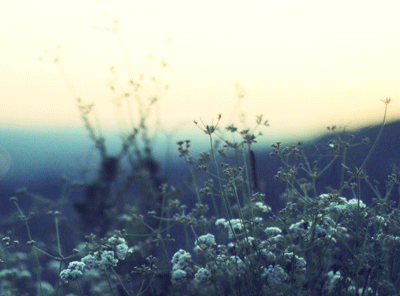 covered-with-mist:  http://covered-with-mist.tumblr.com/