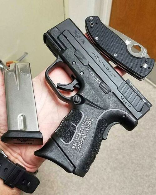 ⠀⠀⠀⠀⠀⠀ ⠀⠀⠀⠀⠀⠀⠀⠀⠀⠀ MΔΠUҒΔCTURΣR: Springfield Armory MΩDΣL: XD Mod. 2 Sub-Compact  CΔLIβΣR: 9 mm CΔPΔC