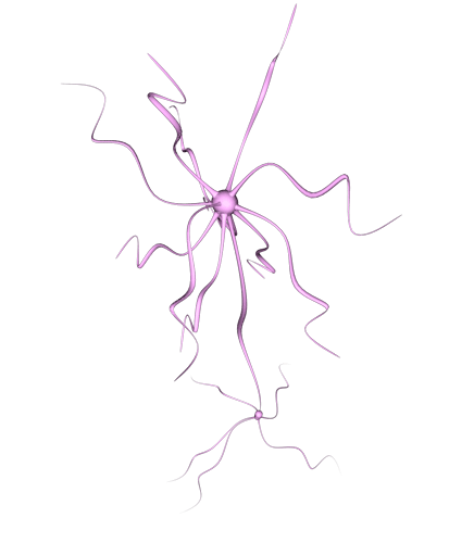 crashcrackcrush:  The dancing nerve