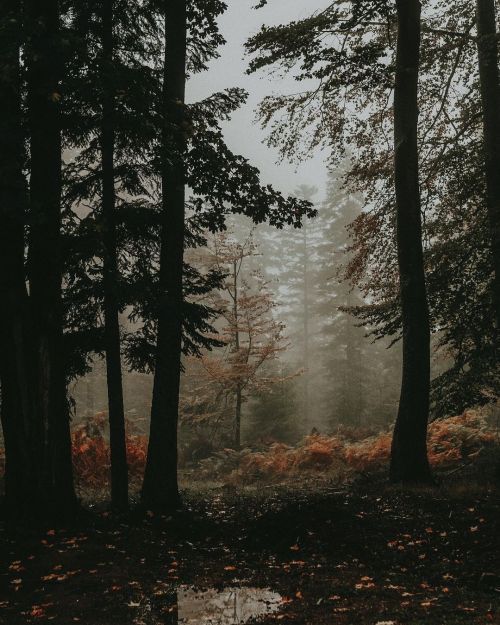 Instagram:anastasia.marrch