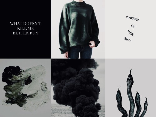 escapingrealityuniverse: Harry Potter mood boards A-ZS - Salazar Slytherin Or perhaps in Slytherin Y