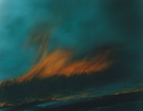 vjeranski:  Rinko Kawauchi