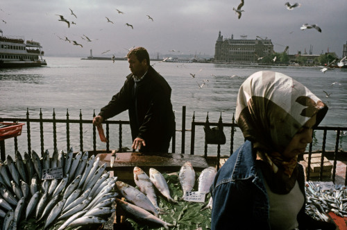 unrar:Kadikoy, Fishmongers with Hydarapasa station behind, Turkey 2004, Alex Webb.