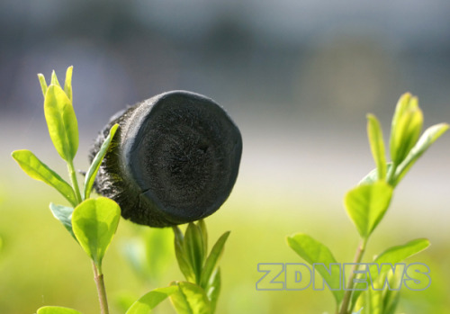 the-science-llama:  Graphene Aerogel— Lightest Solid Material Ever Developed Because aerogels are porous they are ultra-light materials and this one is 100 times lighter than Polystyrene foam cups and can help clean up pollutants like toluene and