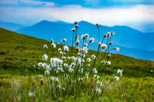 Schneeberg by Bernd Kranabetter