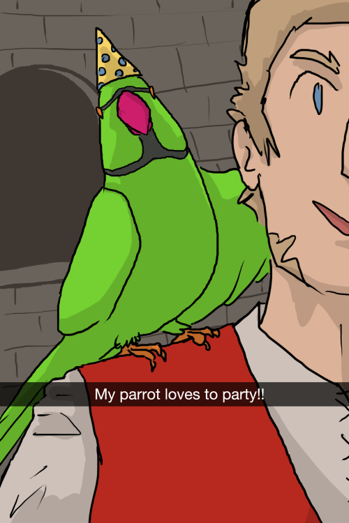 knightbird: Chevalier du papegau/Knight of the Parrot snapchats