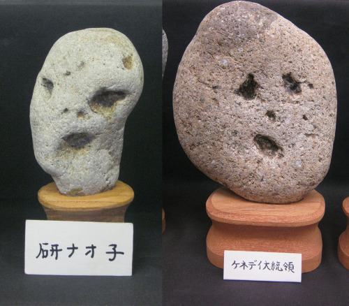 angelhive: Two jinmenseki on display at the Chinsekikan museum in Japan.