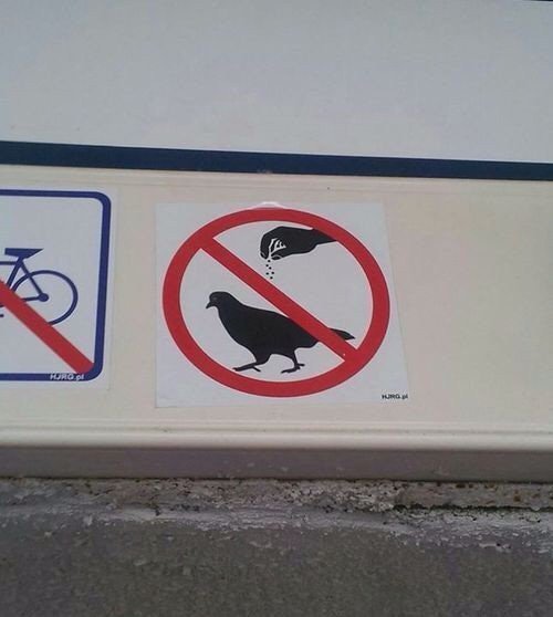 Prohibido sazonar a los pájaros.