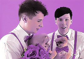 amazingphiw:dan and phil and dogs (but in purple)