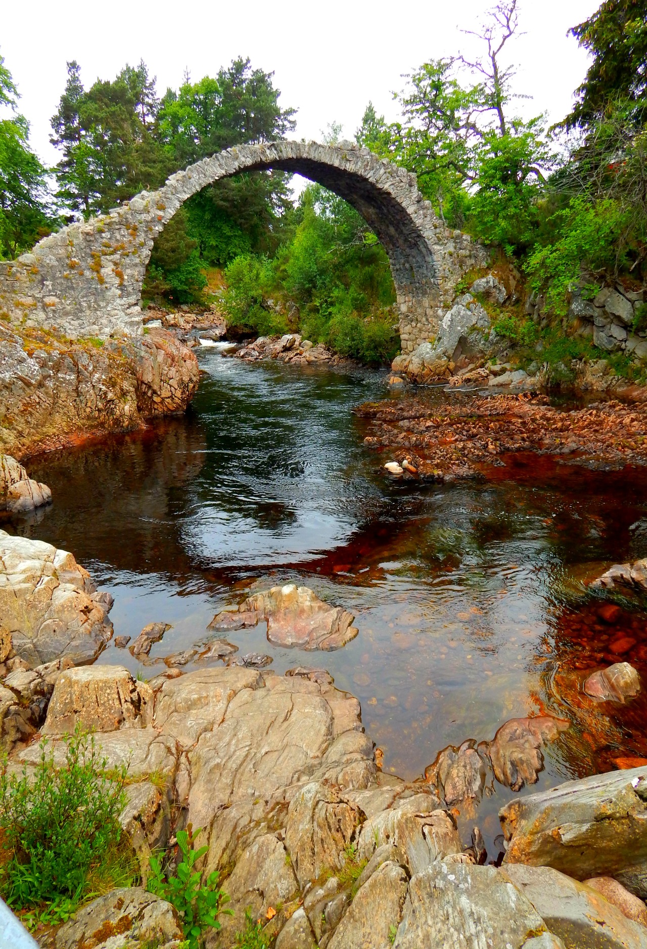 fuckitandmovetobritain:  Scotland [5]: Scottish Highlands - -  Eilean Donan Castle,