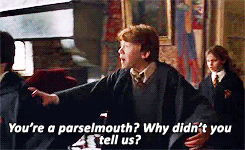 deutsch-kate:  was NOBODY going to make this reference??