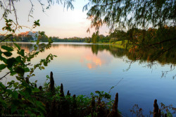 southernwaterways:  beside Capitol Lake in