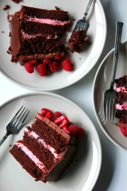 verticalfood:Chocolate Devils Food Cake and Raspberry Supreme Cake 