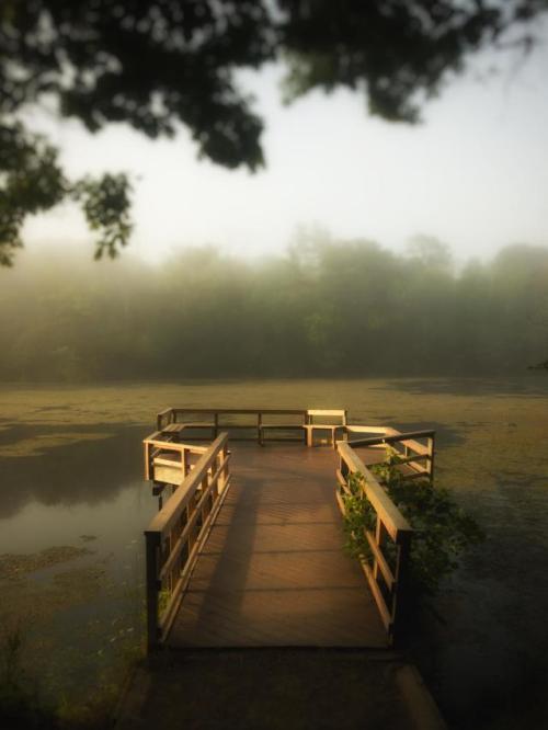 (via Foggy sunrise : photocritique)