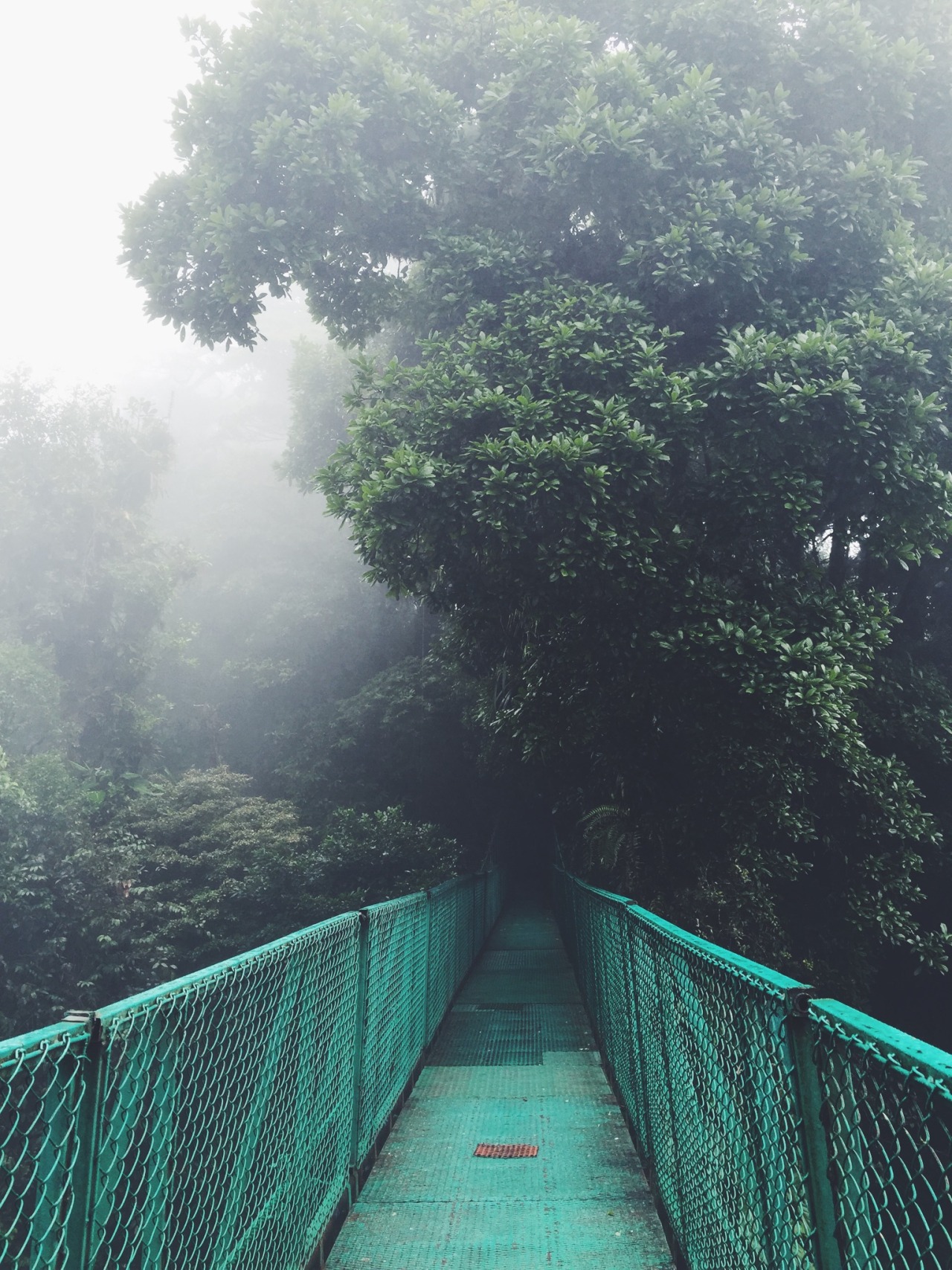 danielodowd:  http://oliviaposner.vsco.co/
