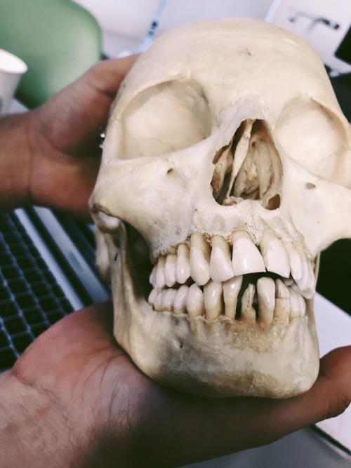2.27.19 // An Update To Spring 2019: Forensic Anthropology Is By Far One Of My Favorite Classes Ive Taken.