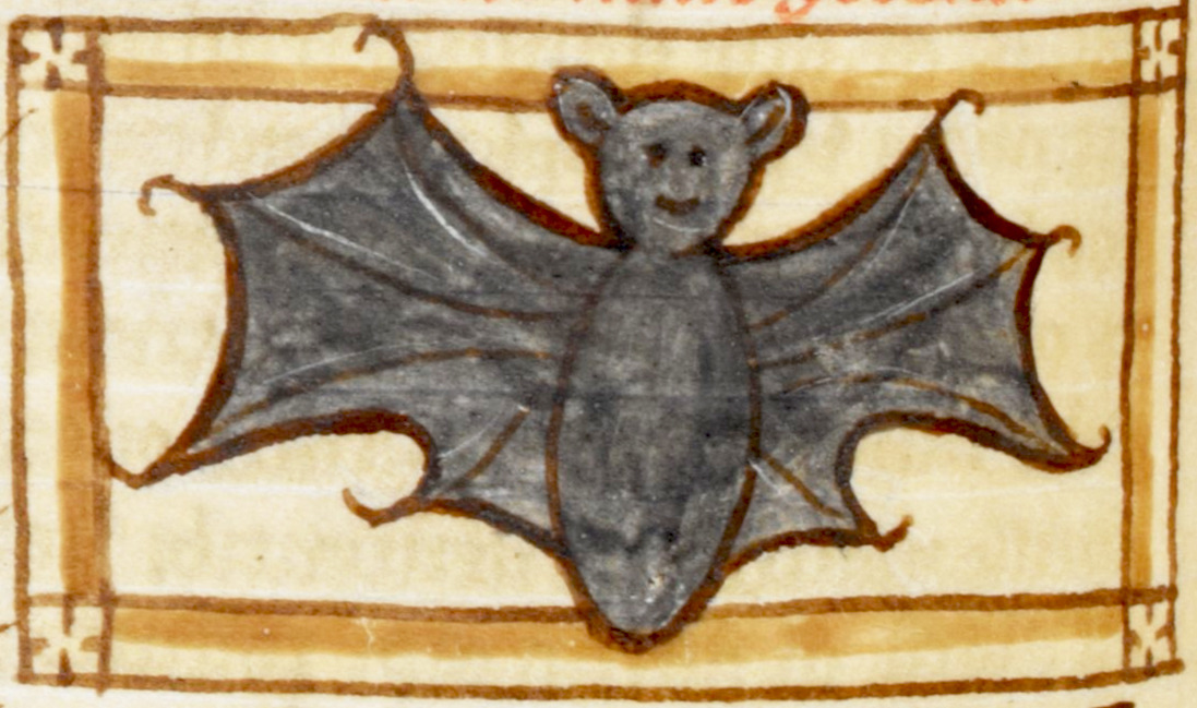 unicornempire: discardingimages:  smiling bat Bestiary/Liber de natura bestiarum,