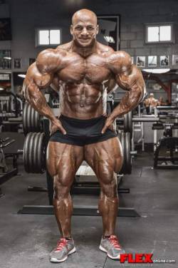 hardmenonline:  Vpl 