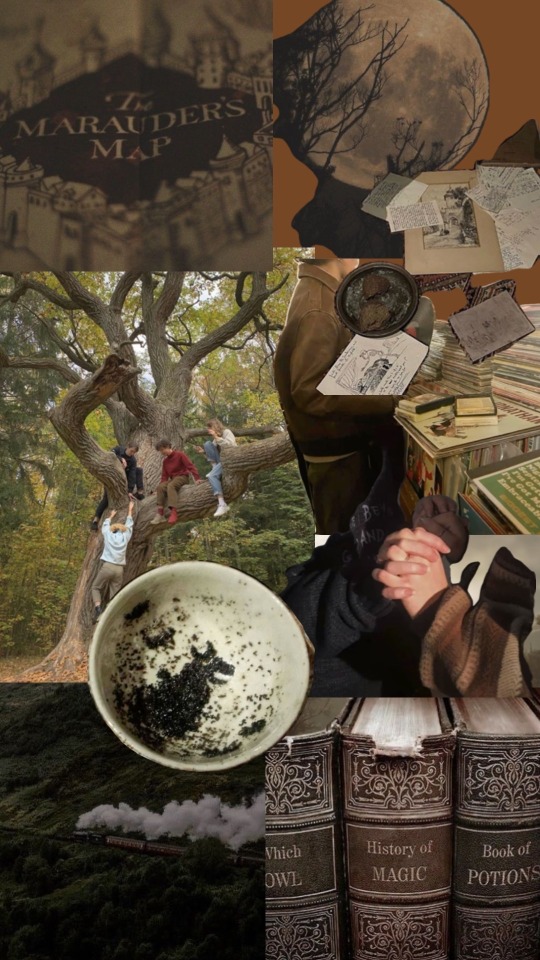 Im Obsessed With Pinterests Collage Feature So Naturally I Used It To Make Mood Boards For The Marauders